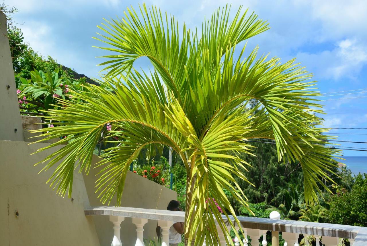 Villa Anse La Blague Baie Sainte Anne Dış mekan fotoğraf