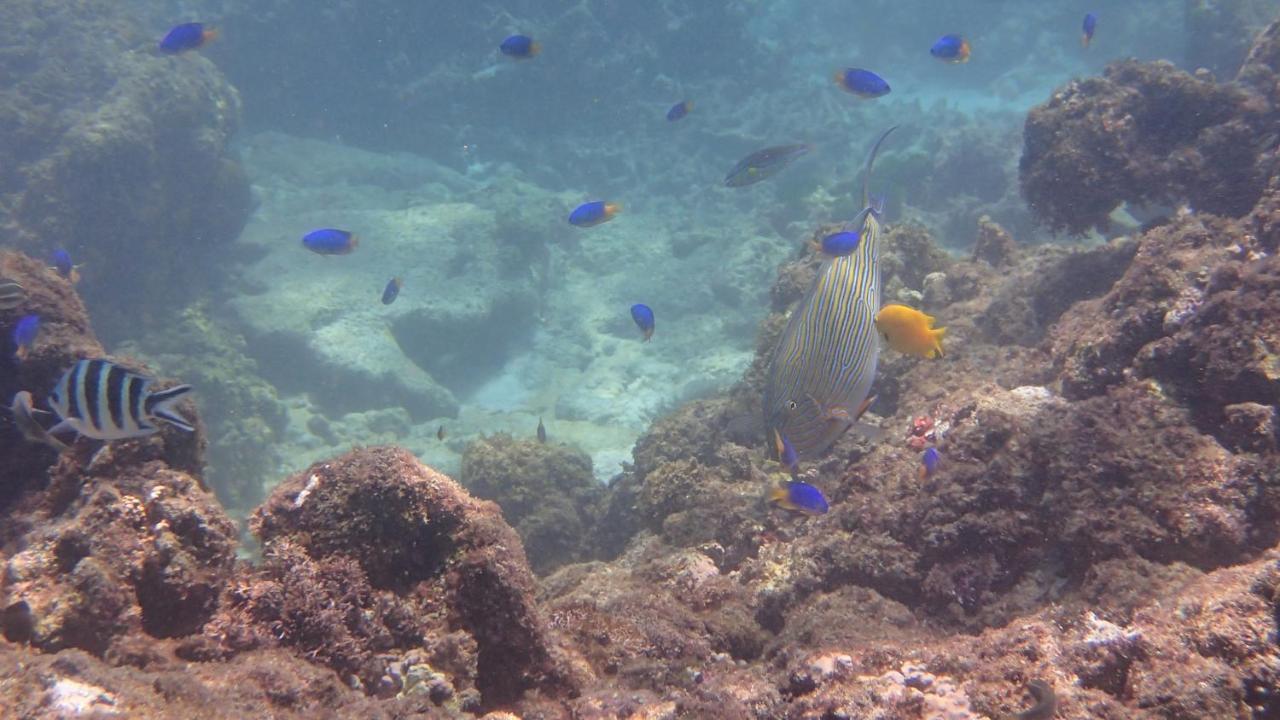 Villa Anse La Blague Baie Sainte Anne Dış mekan fotoğraf