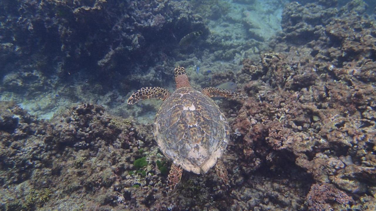 Villa Anse La Blague Baie Sainte Anne Dış mekan fotoğraf