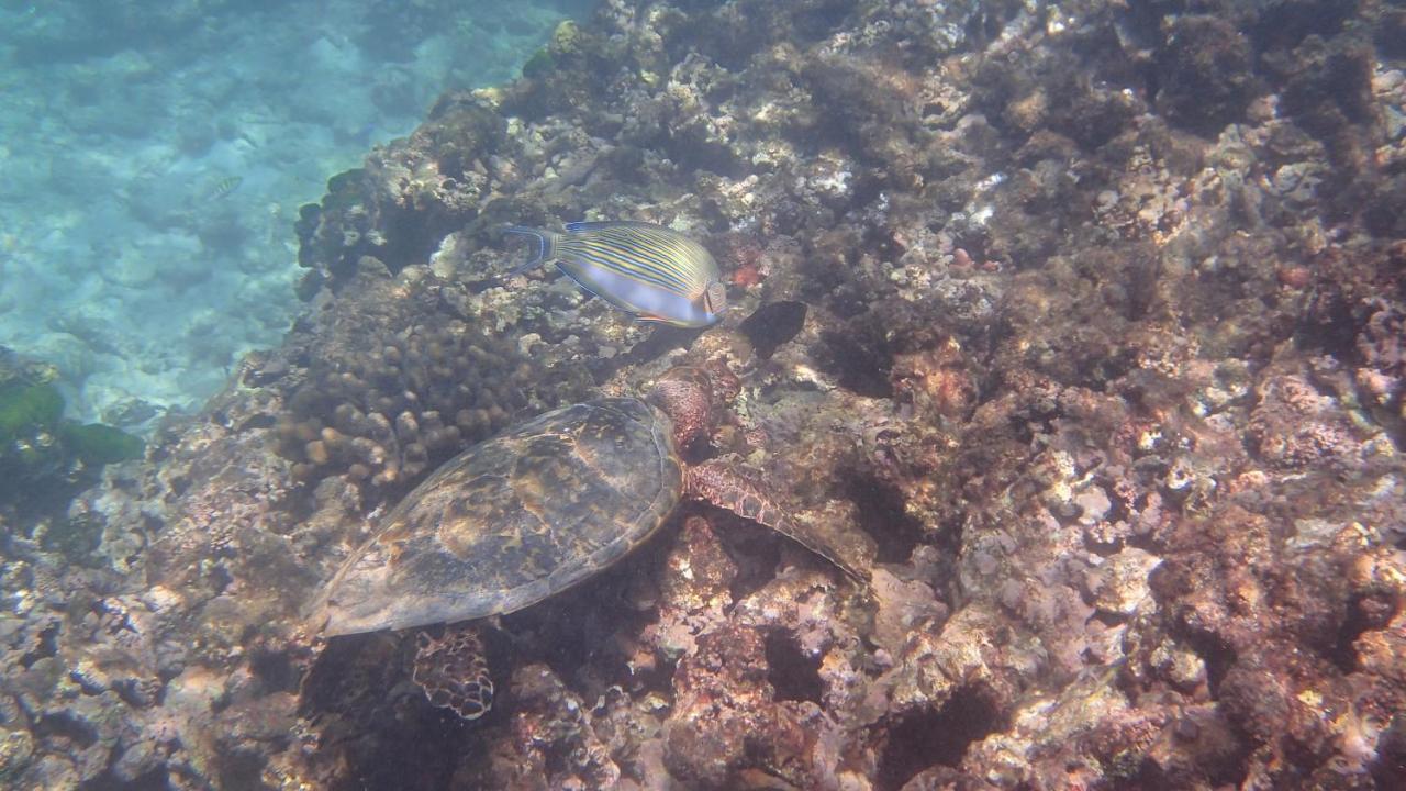 Villa Anse La Blague Baie Sainte Anne Dış mekan fotoğraf